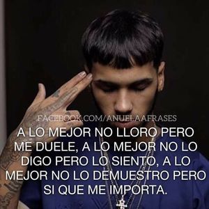 Meet your Posher, Bruno